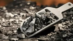 Welcher Asche eignet sich am besten zum Düngen von Pflanzen: Merken Sie sich diesen Lifehack erfahrener Gärtner