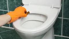 Was tun, wenn die Toilette verstopft ist: So machen Sie sie selbst frei und vermeiden den Anruf beim Sanitärinstallateur