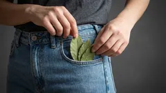 Warum tragen selbst nicht abergläubische Menschen Lorbeerblätter in der Tasche?