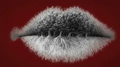 Was du im Bild zuerst siehst, verrät, ob du eher introvertiert, extrovertiert oder ambivert bist